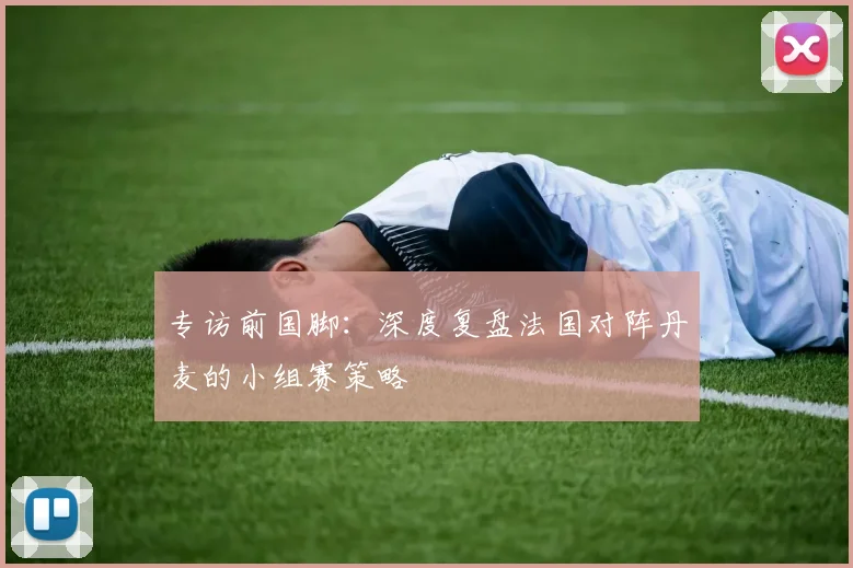 专访前国脚:深度复盘法国对阵丹麦的小组赛策略