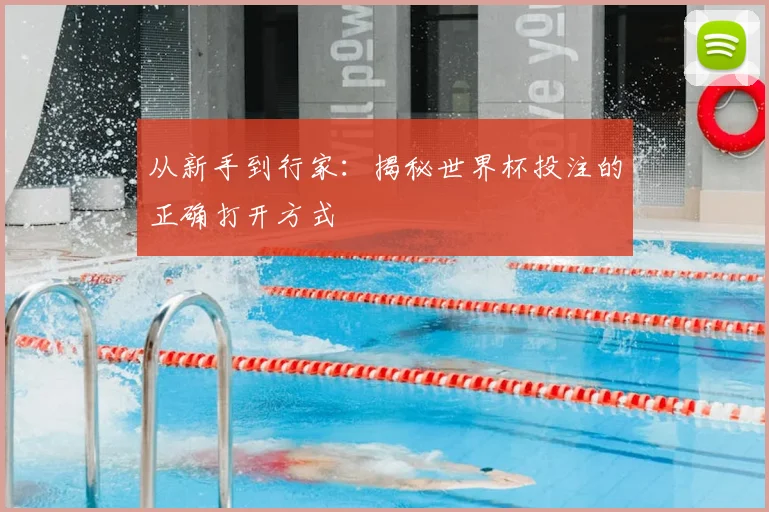从新手到行家:揭秘世界杯投注的正确打开方式