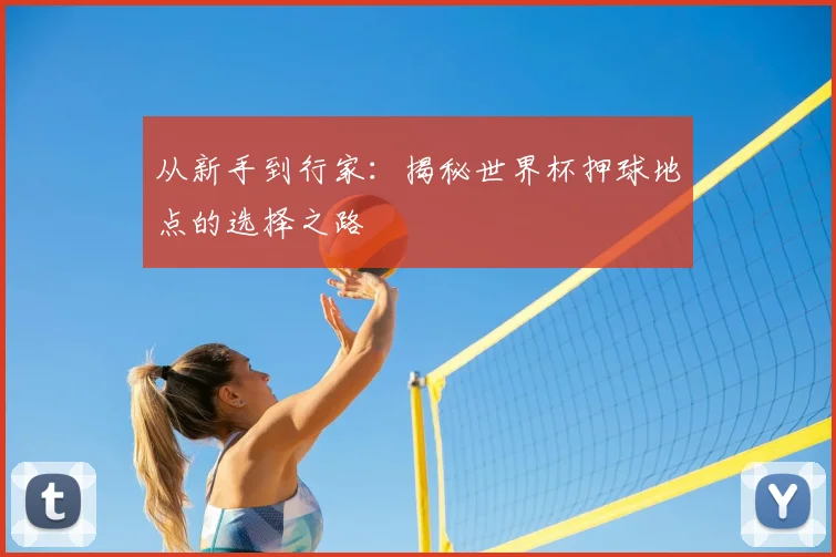 从新手到行家:揭秘世界杯押球地点的选择之路