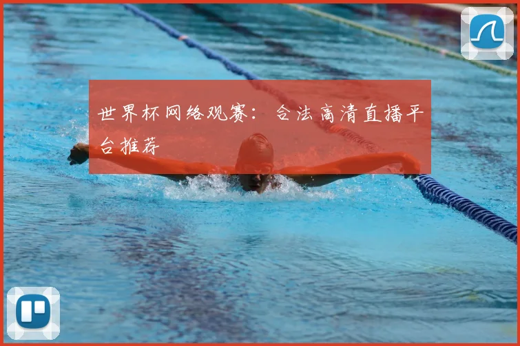 世界杯网络观赛：合法高清直播平台推荐