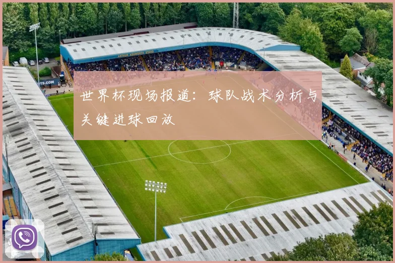 世界杯现场报道:球队战术分析与关键进球回放