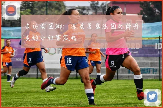 专访前国脚:深度复盘法国对阵丹麦的小组赛策略