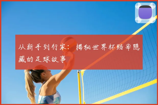 从新手到行家:揭秘世界杯赔率隐藏的足球故事