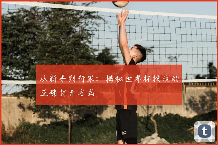 从新手到行家:揭秘世界杯投注的正确打开方式
