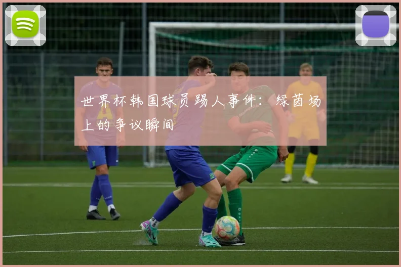 世界杯韩国球员踢人事件:绿茵场上的争议瞬间