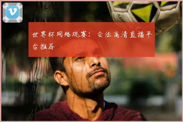 世界杯网络观赛：合法高清直播平台推荐