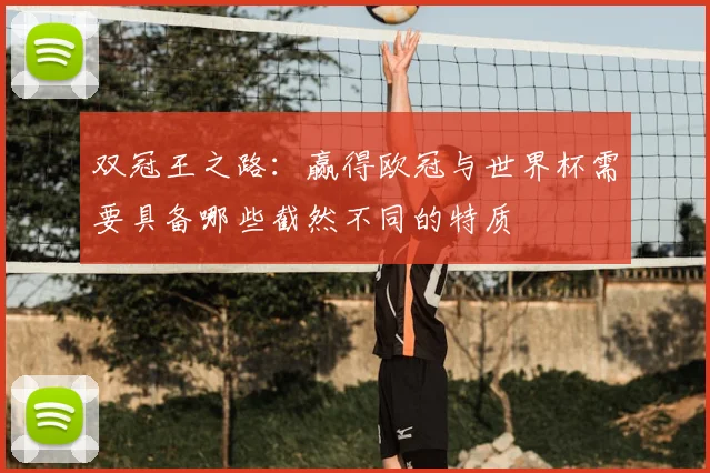 双冠王之路：赢得欧冠与世界杯需要具备哪些截然不同的特质
